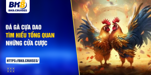 đá gà cựa dao
