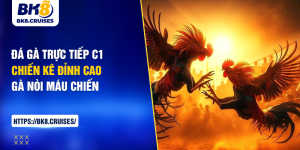 đá gà trực tiếp c1