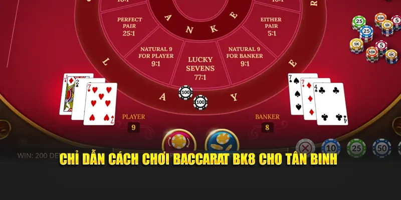 Chỉ dẫn cách chơi baccarat BK8 cho tân binh