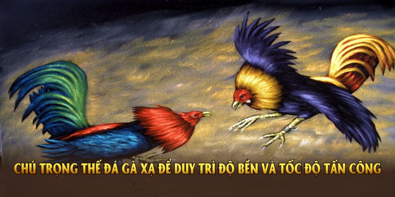 Chú trọng thế đá gà xạ để duy trì độ bền và tốc độ tấn công