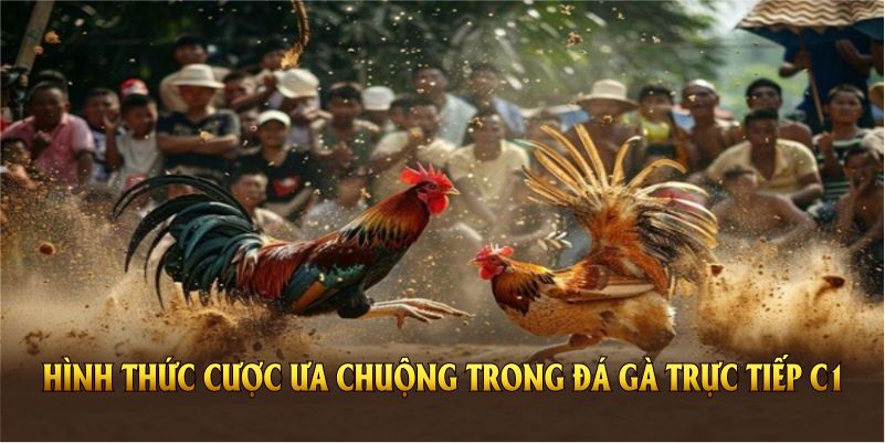 Những hình thức cược được ưa chuộng nhất trong đá gà trực tiếp C1
