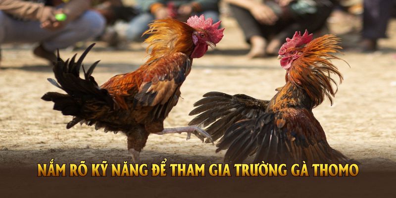 Nắm rõ kỹ năng để tham gia trường gà Thomo