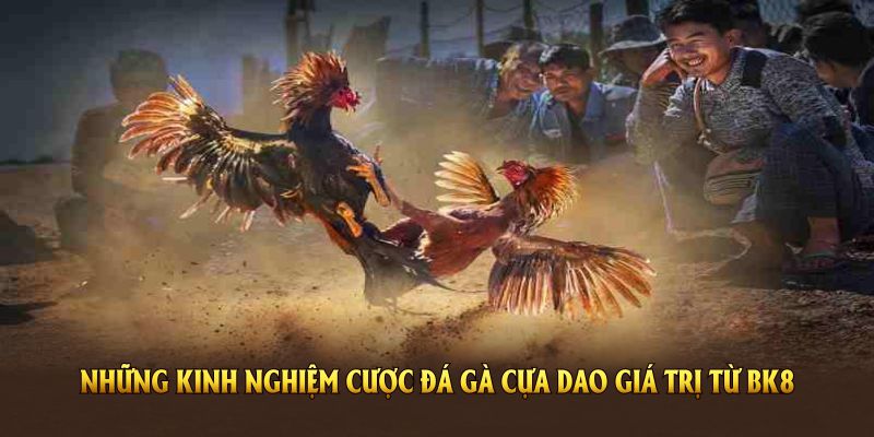 Những kinh nghiệm cược đá gà cựa dao giá trị từ BK8