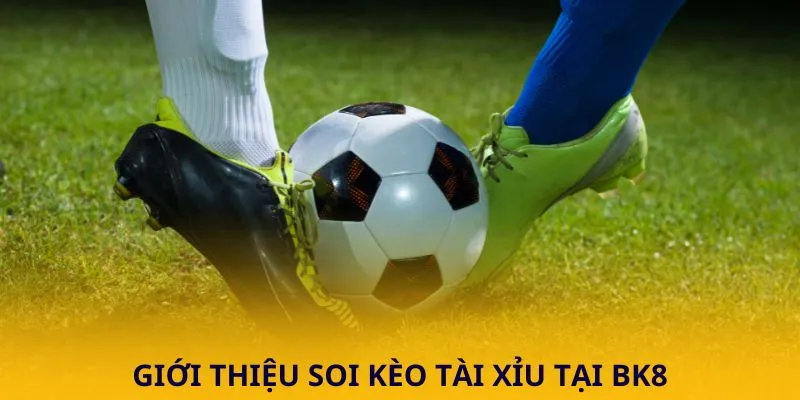 Giới thiệu soi kèo Tài Xỉu tại BK8