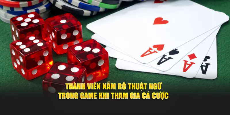 Thành viên nắm rõ thuật ngữ trong game khi tham gia cá cược